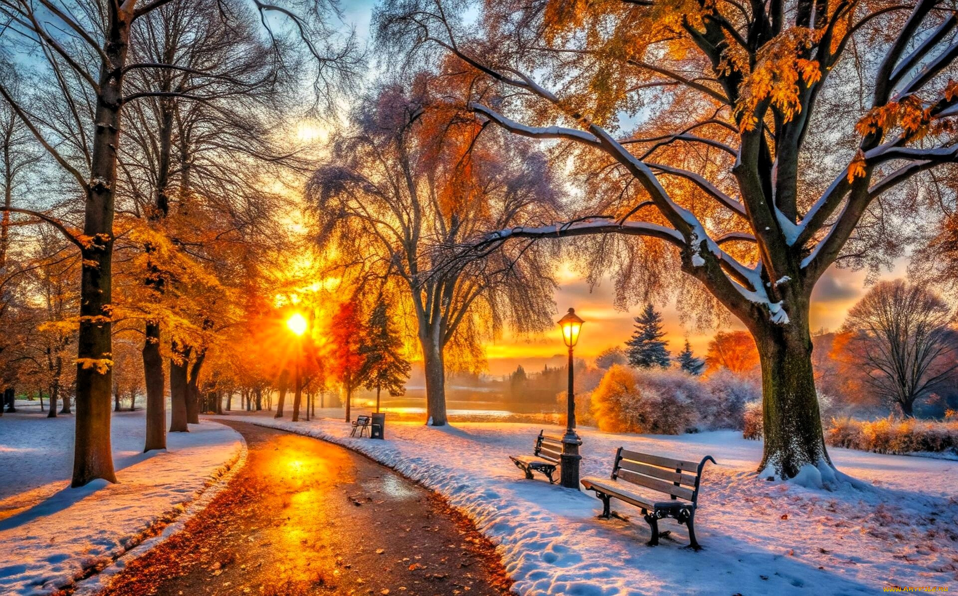 3 ,  , nature, , , , , , , 
